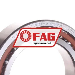 FAG B7010-C-T-P4S-UM rulman resim 2