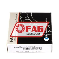 FAG B7003-C-2RSD-T-P4S-UL rulman resim 2