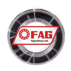 FAG B7209-E-2RSD-T-P4S-UL