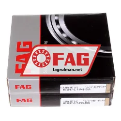 FAG B71917-C-T-P4S-DUL rulman resim 2