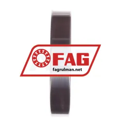 FAG HS7013-C-T-P4S-UL rulman resim 3