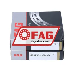 FAG B7013-E-2RSD-T-P4S-DUL