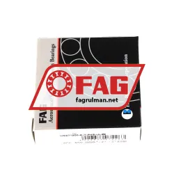 FAG HSS71900-E-T-P4S-UL rulman resim 3
