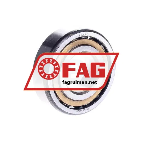 FAG LS10AC