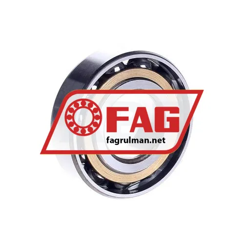FAG LS10AC ürün fotoğrafı 2
