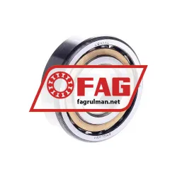 FAG LS10AC