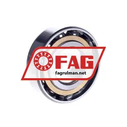 FAG LS10AC rulman resim 2