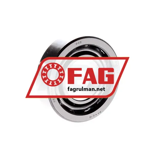 FAG 509993