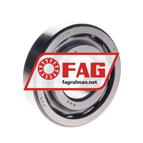 FAG 17306
