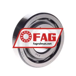FAG 17306