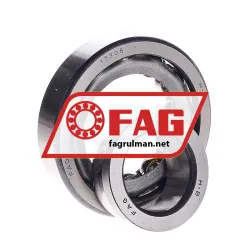 FAG 17306 rulman resim 2