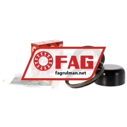 FAG 713 6305 50