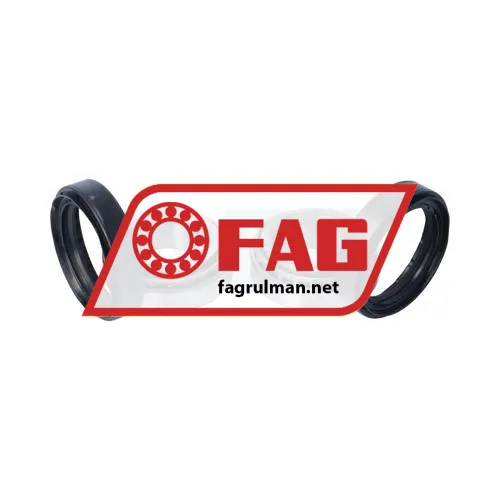 FAG KIT189