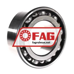 FAG 3220