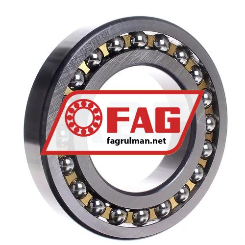 FAG 1220M-C3
