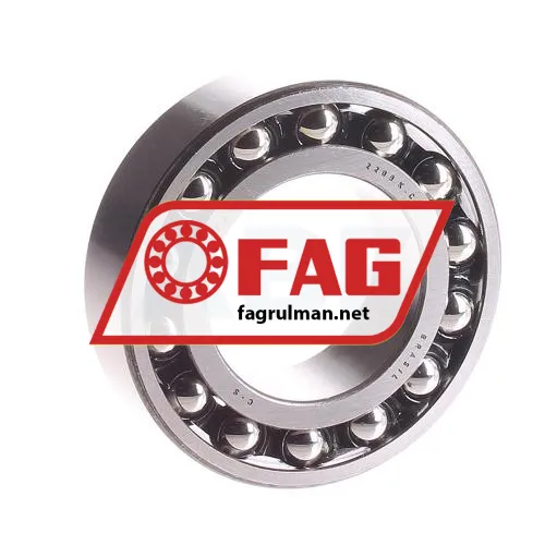 FAG 2209K-TV-C3