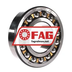 FAG 1319-K-M-C3