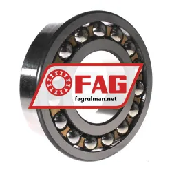 FAG 1319-K-M-C3 rulman resim 2