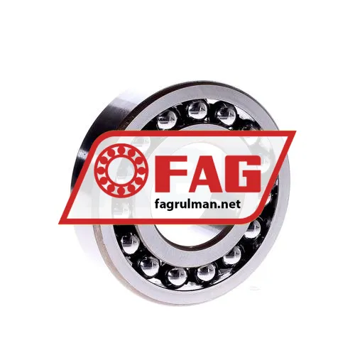 FAG 1309-TVH