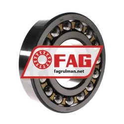FAG 1319-M