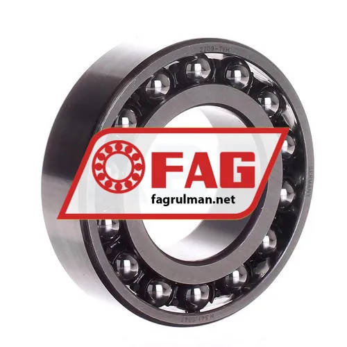 FAG 2209-TVH