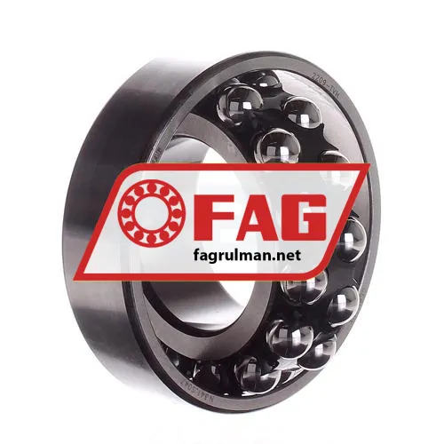 FAG 2209-TVH ürün fotoğrafı 2