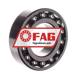 FAG 2209-TVH