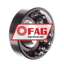FAG 2209-TVH rulman resim 2