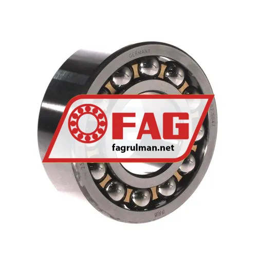FAG 2309-M