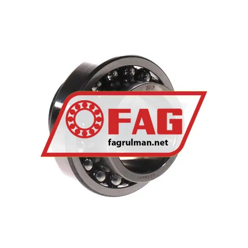 FAG 11209-TVH