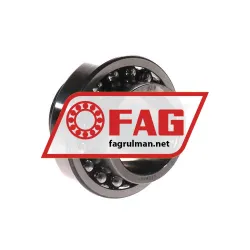 FAG 11209-TVH