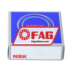 FAG 1303