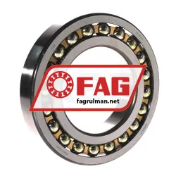 FAG 1219-M