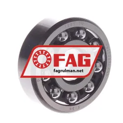 FAG 1301TV