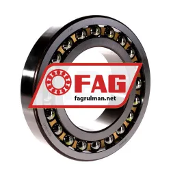 FAG 1219-K-M