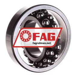 FAG 1209-TVH rulman resim 3