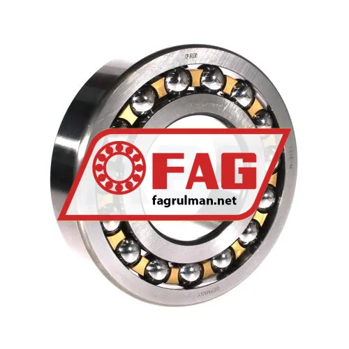 FAG 1316-M
