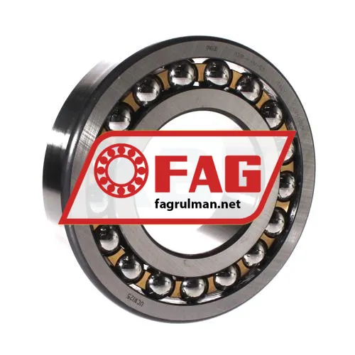 FAG 1318-K-M-C3