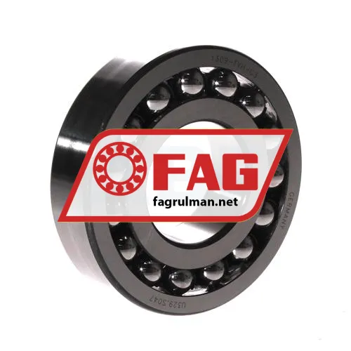 FAG 1309-TVH-C3