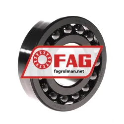 FAG 1309-TVH-C3