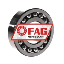 FAG 1309-TVH-C3 rulman resim 2