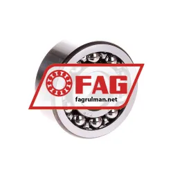 FAG 2303