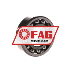 FAG 1205TV rulman resim 2