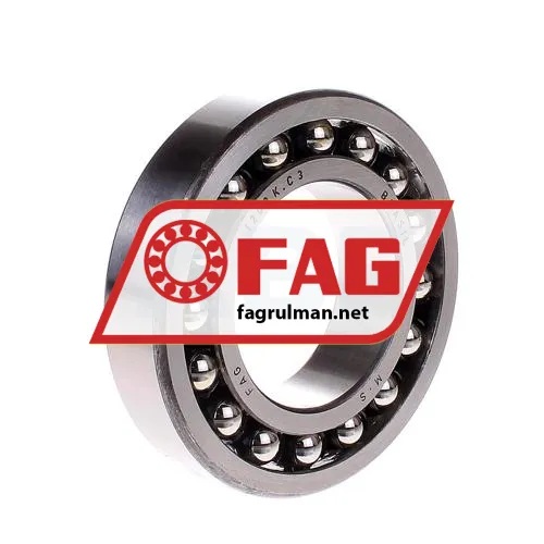 FAG 1209K-TV-C3