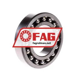 FAG 1209K-TV-C3