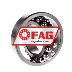 FAG 1209K-TV-C3 rulman resim 2