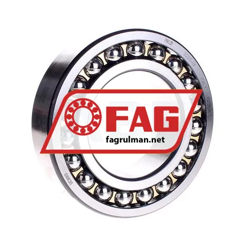 FAG 2220M