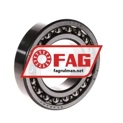 FAG 1210