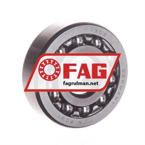 FAG 1302