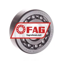 FAG 1302